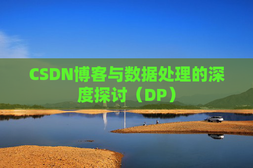 CSDN博客与数据处理的深度探讨（DP）
